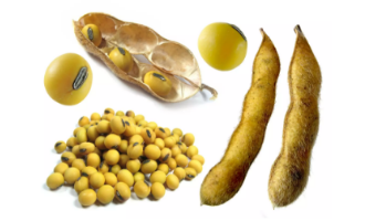 Удобрения для сои